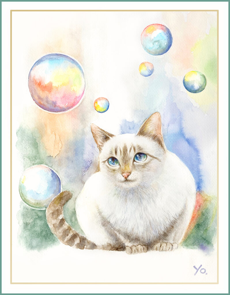 二階堂美子　水彩画  猫
シャボン玉　CAT